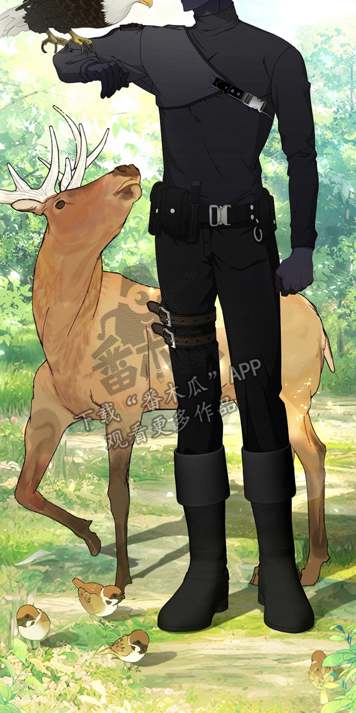 卡雷尔封印之剑漫画,第1章：驯兽师1图