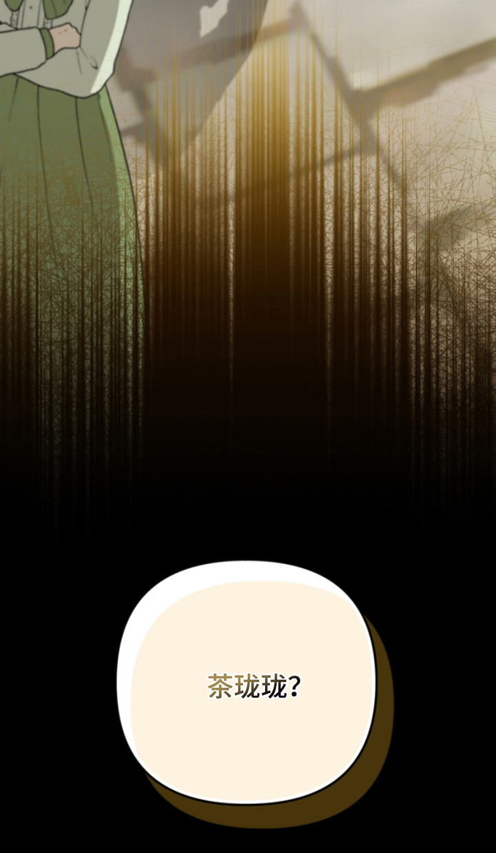 卡雷尔戈特漫画,第9章：失踪3图