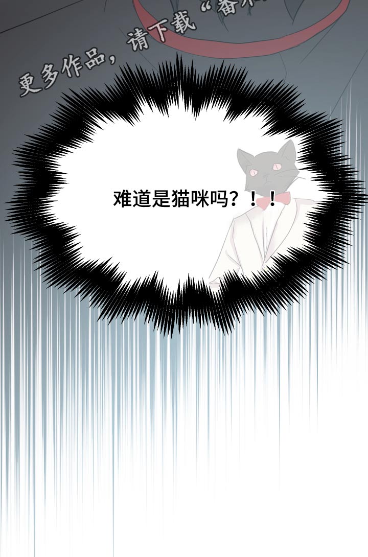 艾丽莎的华尔兹钢琴曲漫画,第36章：可疑2图