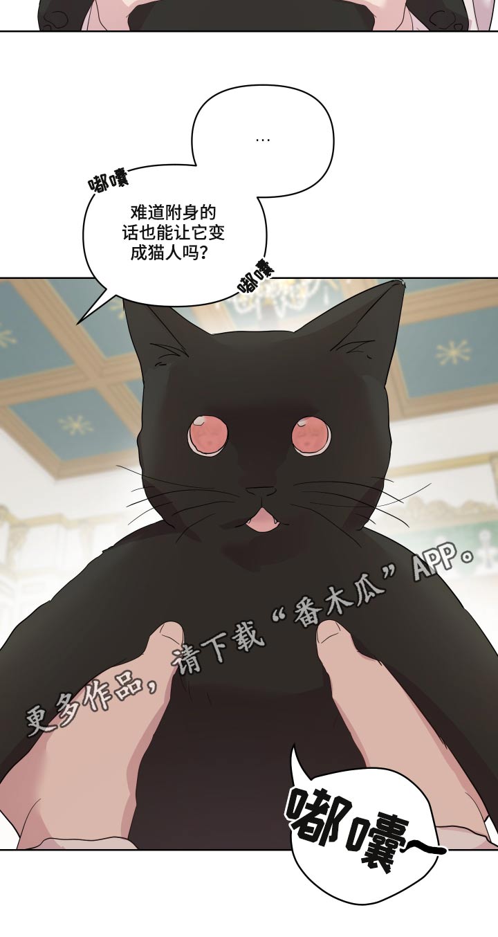 艾丽莎奇遇记三年级作文350字漫画,第29章：猫咪4图
