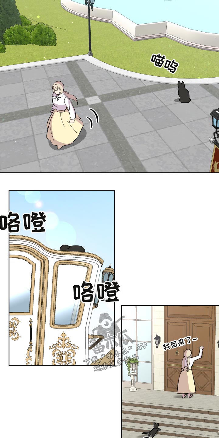 艾丽莎奇遇记三年级作文350字漫画,第29章：猫咪3图