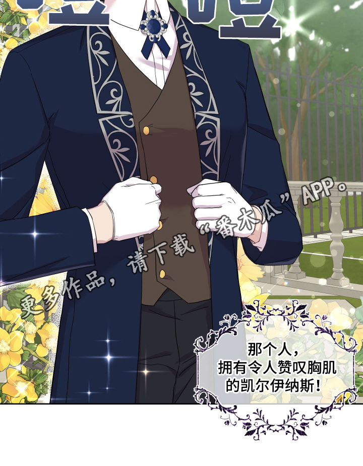 艾丽莎奇遇记三年级作文350字漫画,第15章：提亲3图