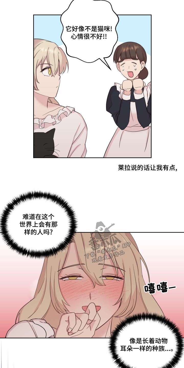 艾丽莎的英语是什么怎么读漫画,第37章：误会了3图