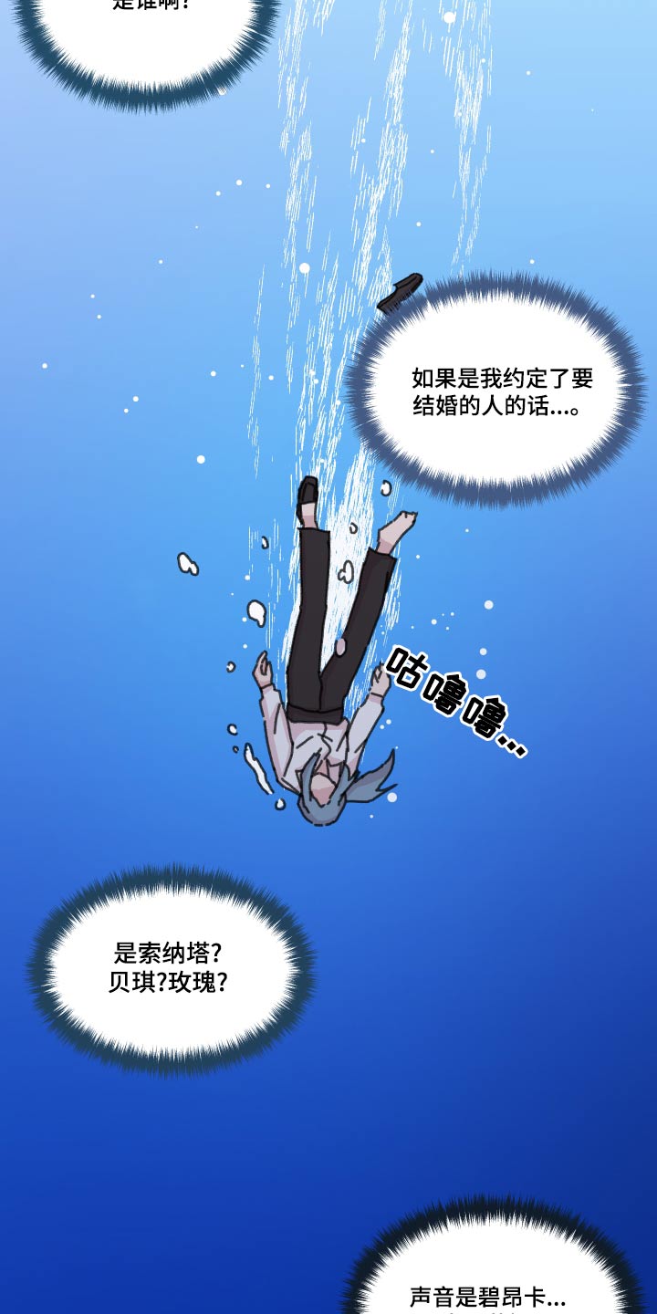 艾丽莎的日记漫画,第43章：贵族4图