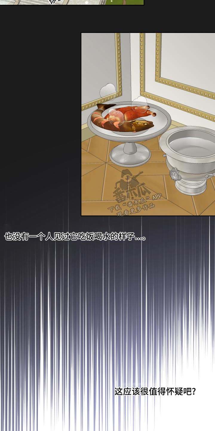 艾丽莎向前漫画,第37章：误会了4图