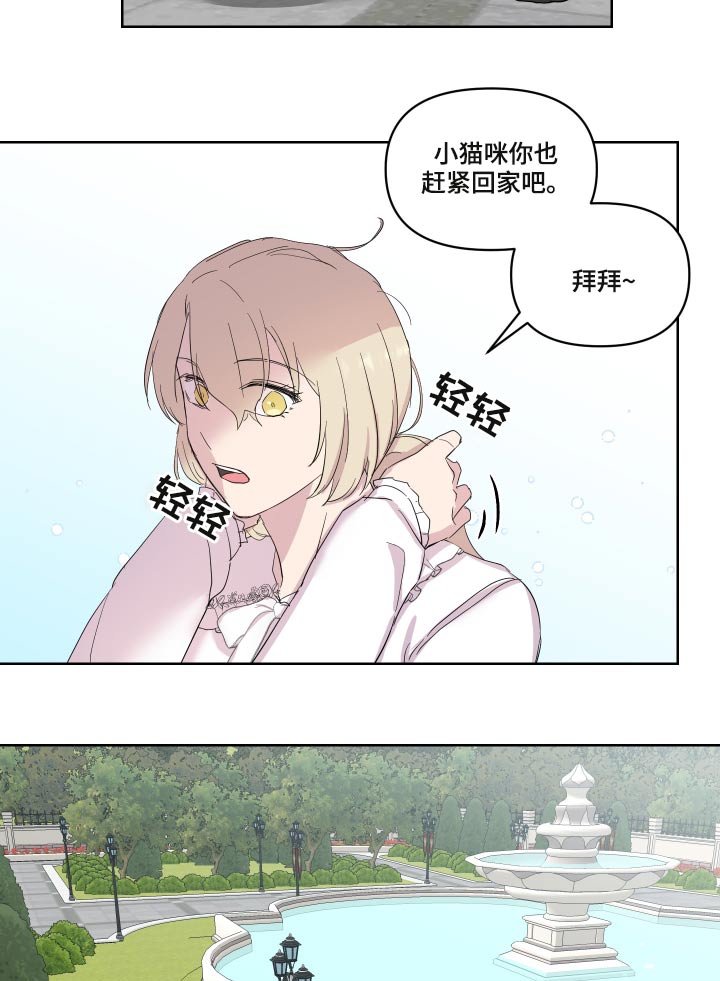 艾丽莎奇遇记三年级作文350字漫画,第29章：猫咪2图