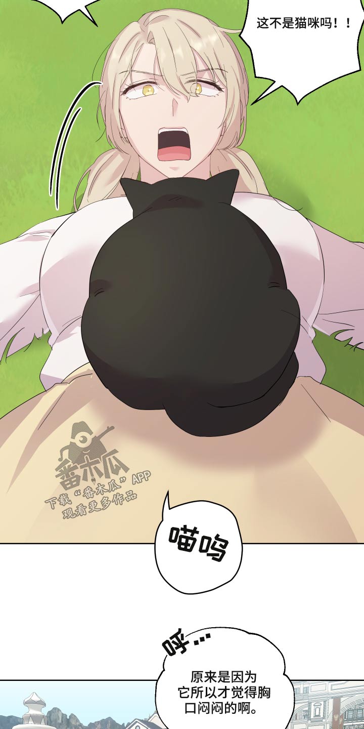 艾丽莎奇遇记三年级作文350字漫画,第29章：猫咪4图