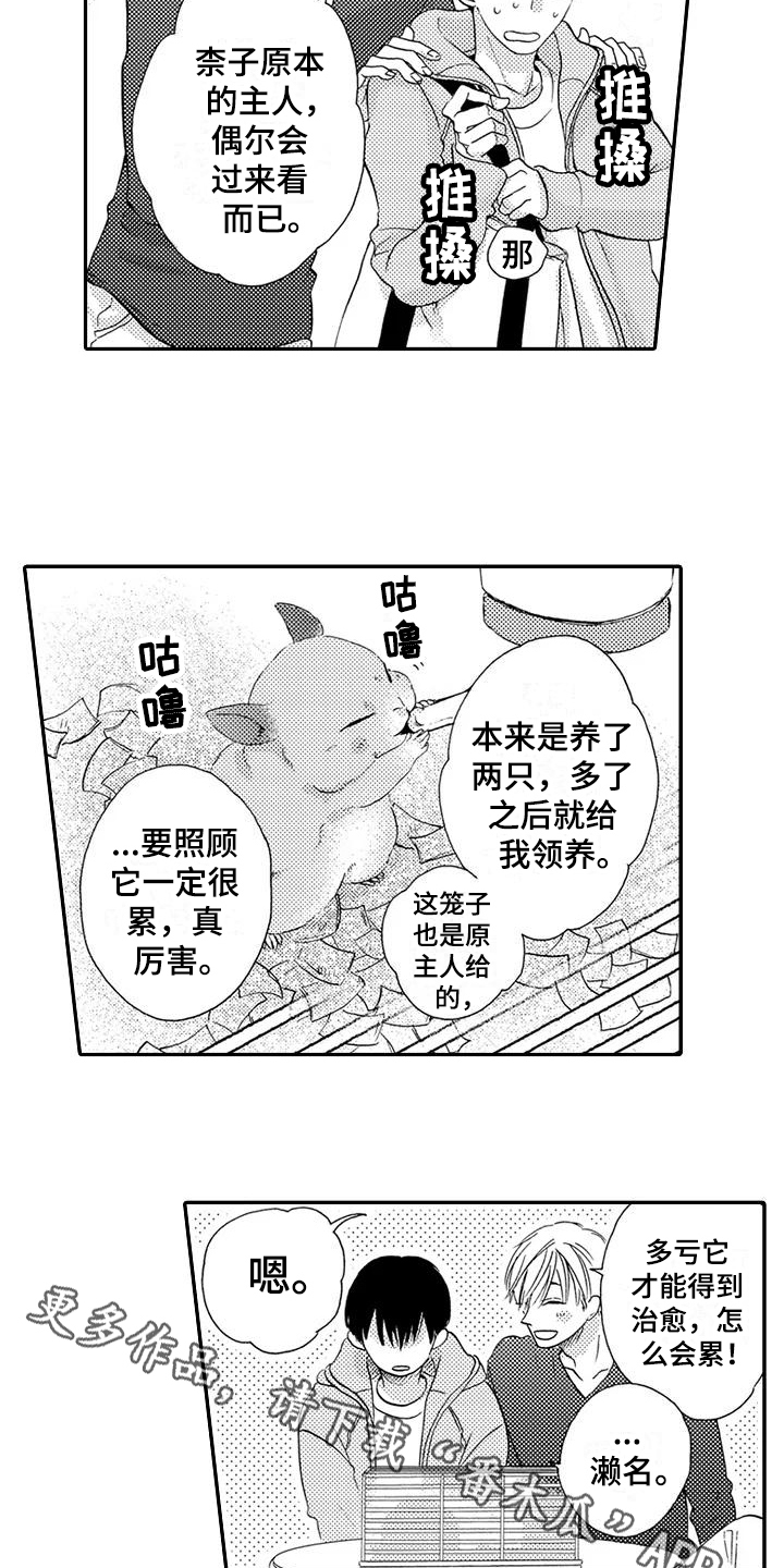 爱在图书馆漫画,第13章：登门4图