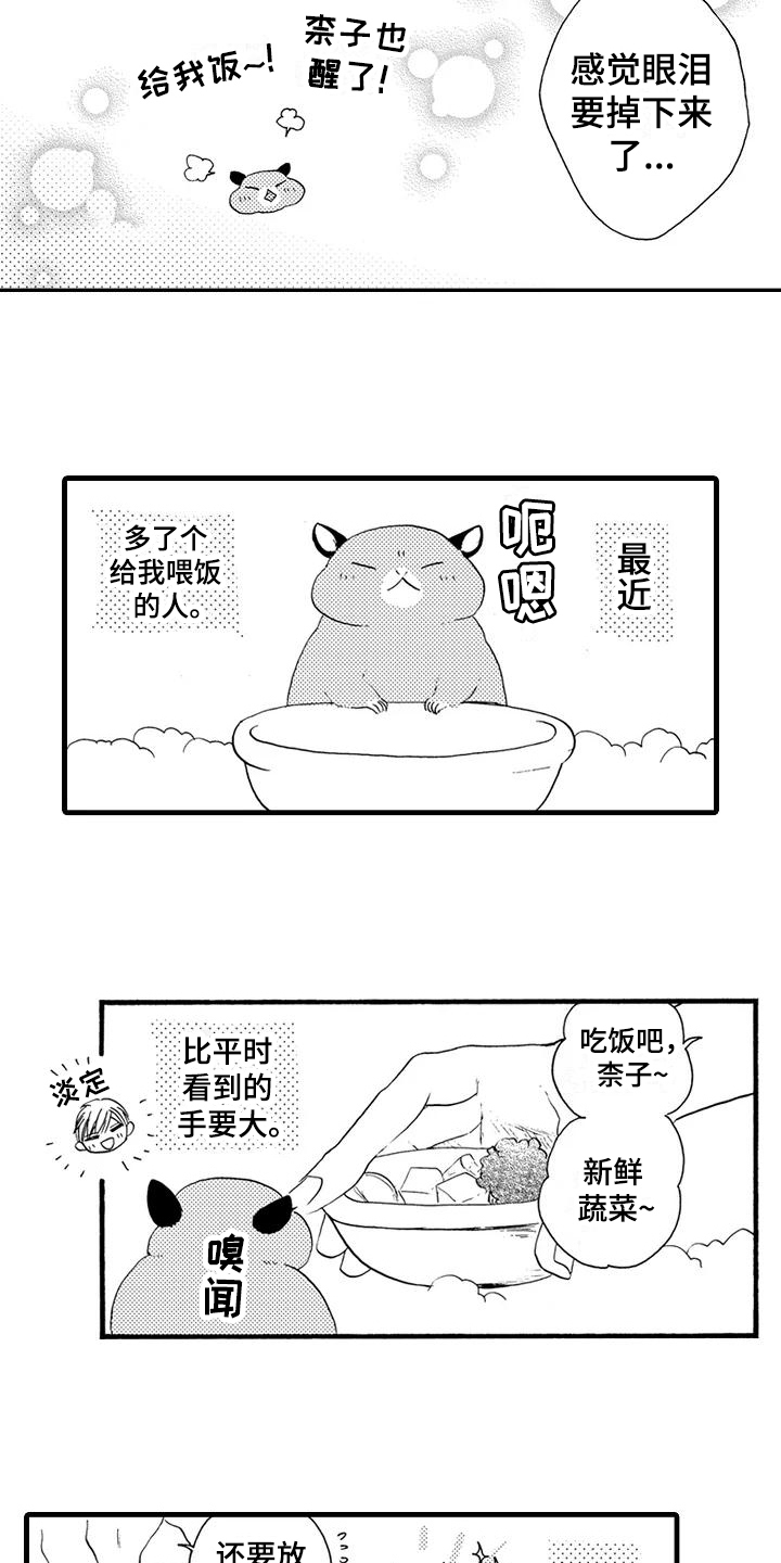 爱在书里漫画,第25章：【番外】美梦成真4图