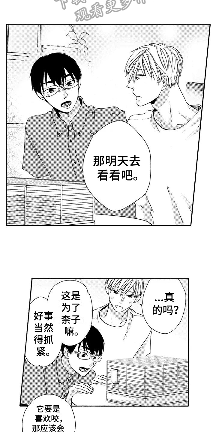 爱在图书馆漫画,第18章：做饭3图
