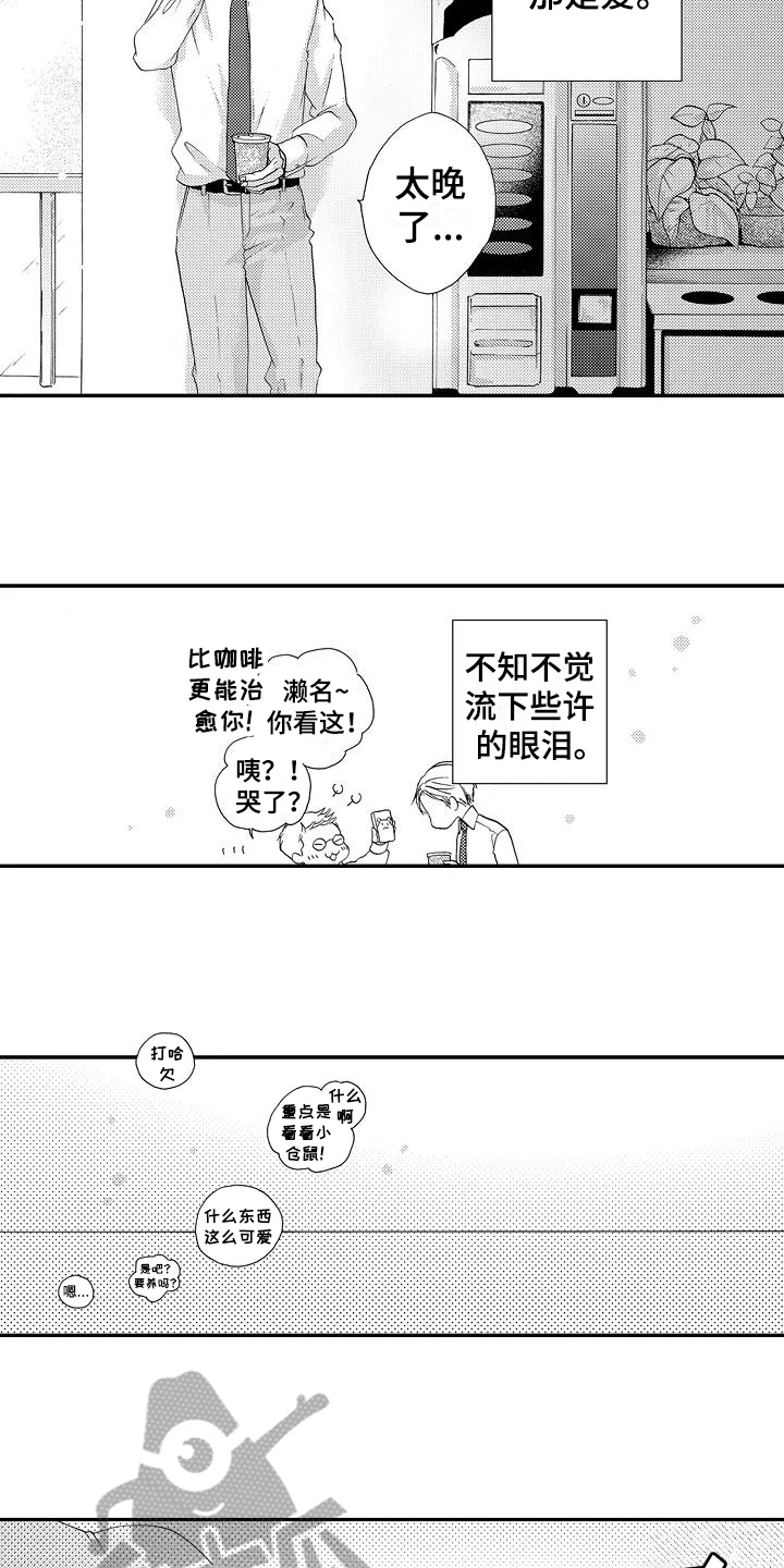 爱在书里漫画,第25章：【番外】美梦成真1图