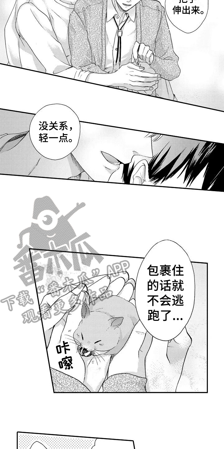 爱在图书馆漫画,第10章：不想后悔5图