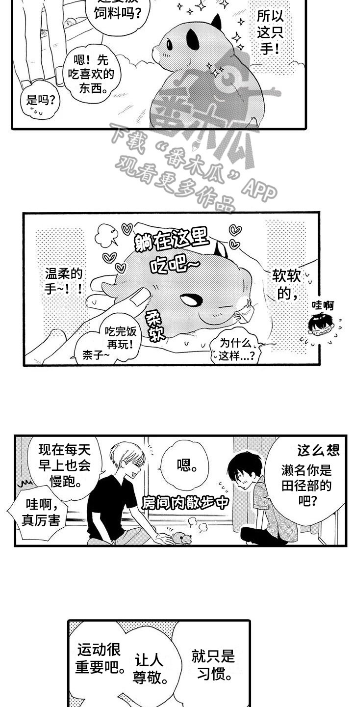 爱在书里漫画,第25章：【番外】美梦成真5图