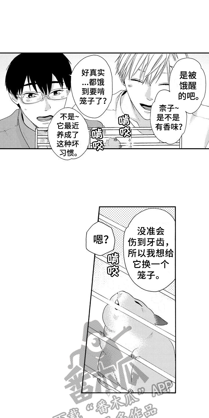 爱在图书馆漫画,第18章：做饭2图