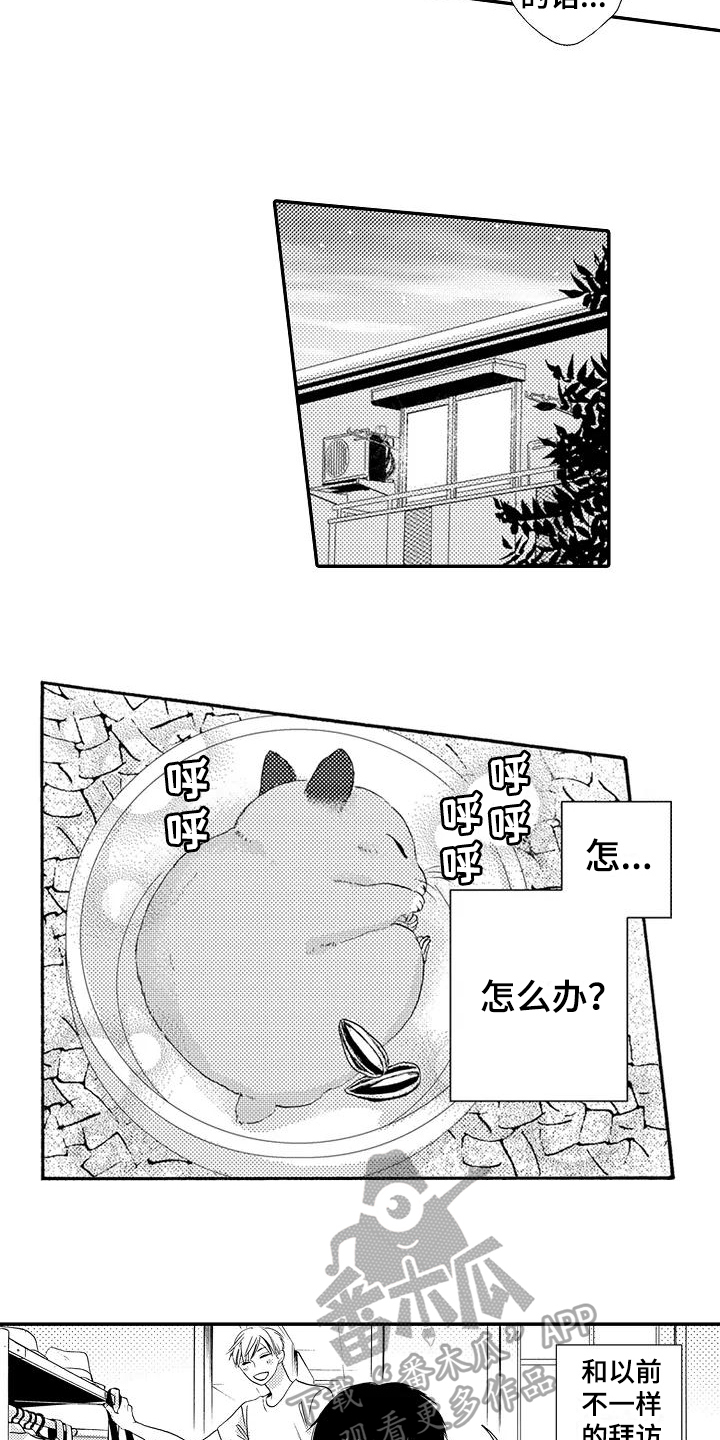 爱在图书馆漫画,第18章：做饭2图