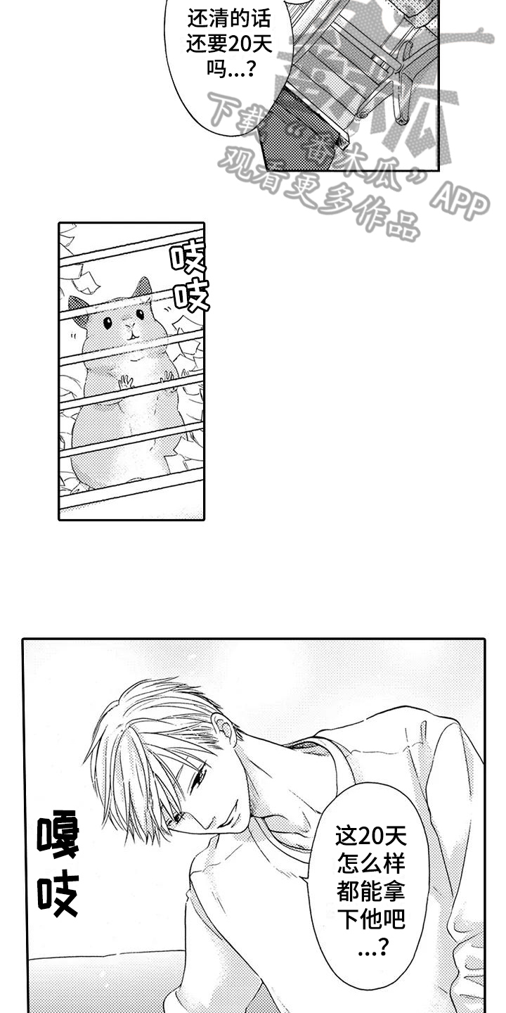 爱在图书馆漫画,第12章：计划5图