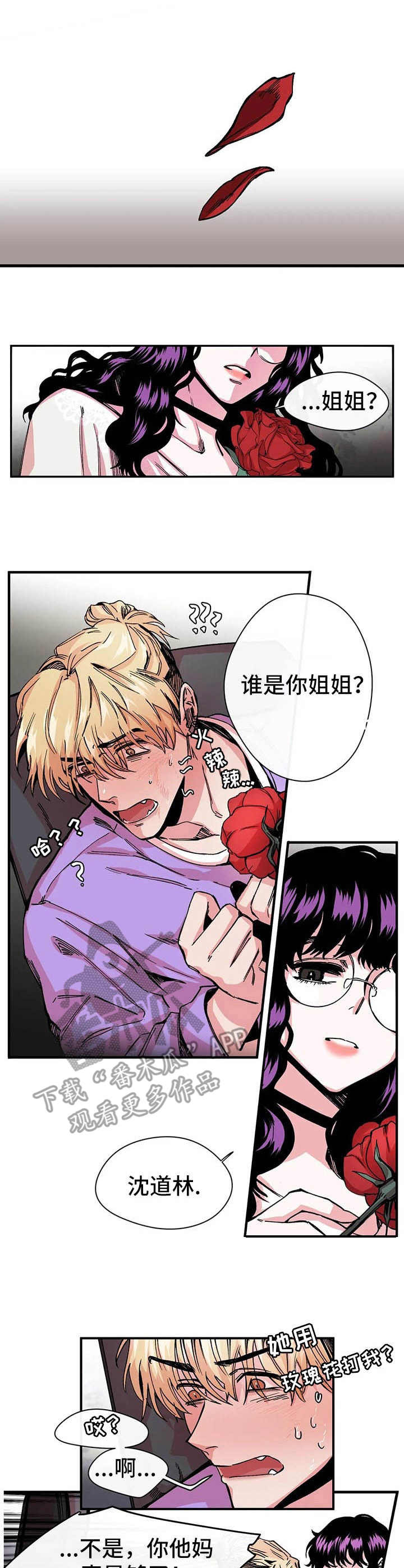 刺玫瑰漫画,第11章：强硬1图