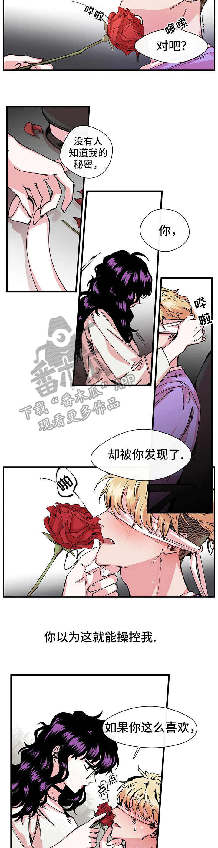 刺玫瑰漫画,第10章：另一面2图