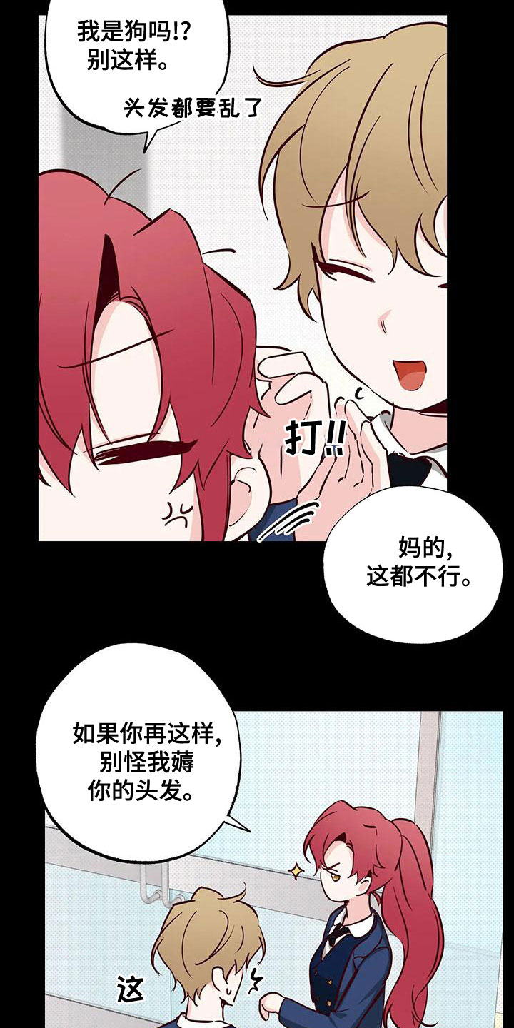 你可别乱来啊漫画,第33章：不要表白2图