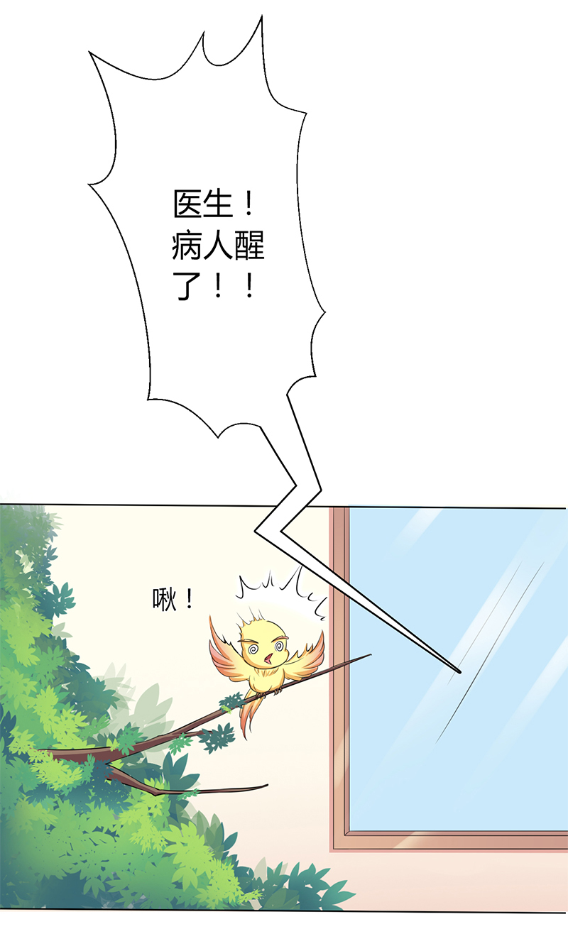 致命宠妻:总裁纳命来什么时候写的漫画,第70章：你终于醒了3图
