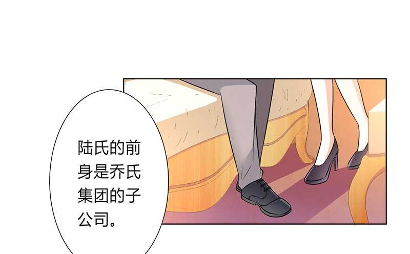 第47章：陆氏的前后身世4