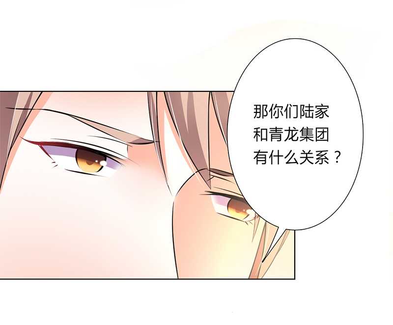 总裁的致命宠妻漫画,第47章：陆氏的前后身世3图
