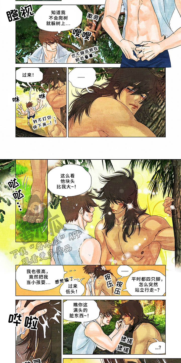 荒岛求生小说完整版漫画,第16章：取名1图