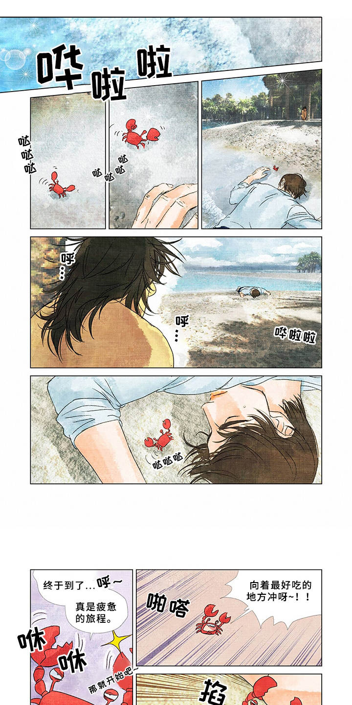 荒岛漂流者漫画,第1章：流落荒岛1图