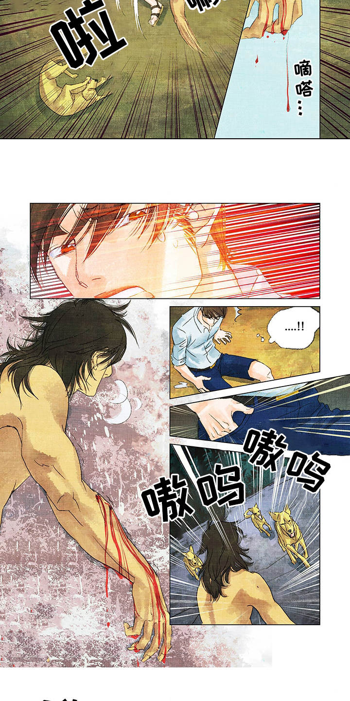 荒岛漂流者漫画,第2章：野狗3图