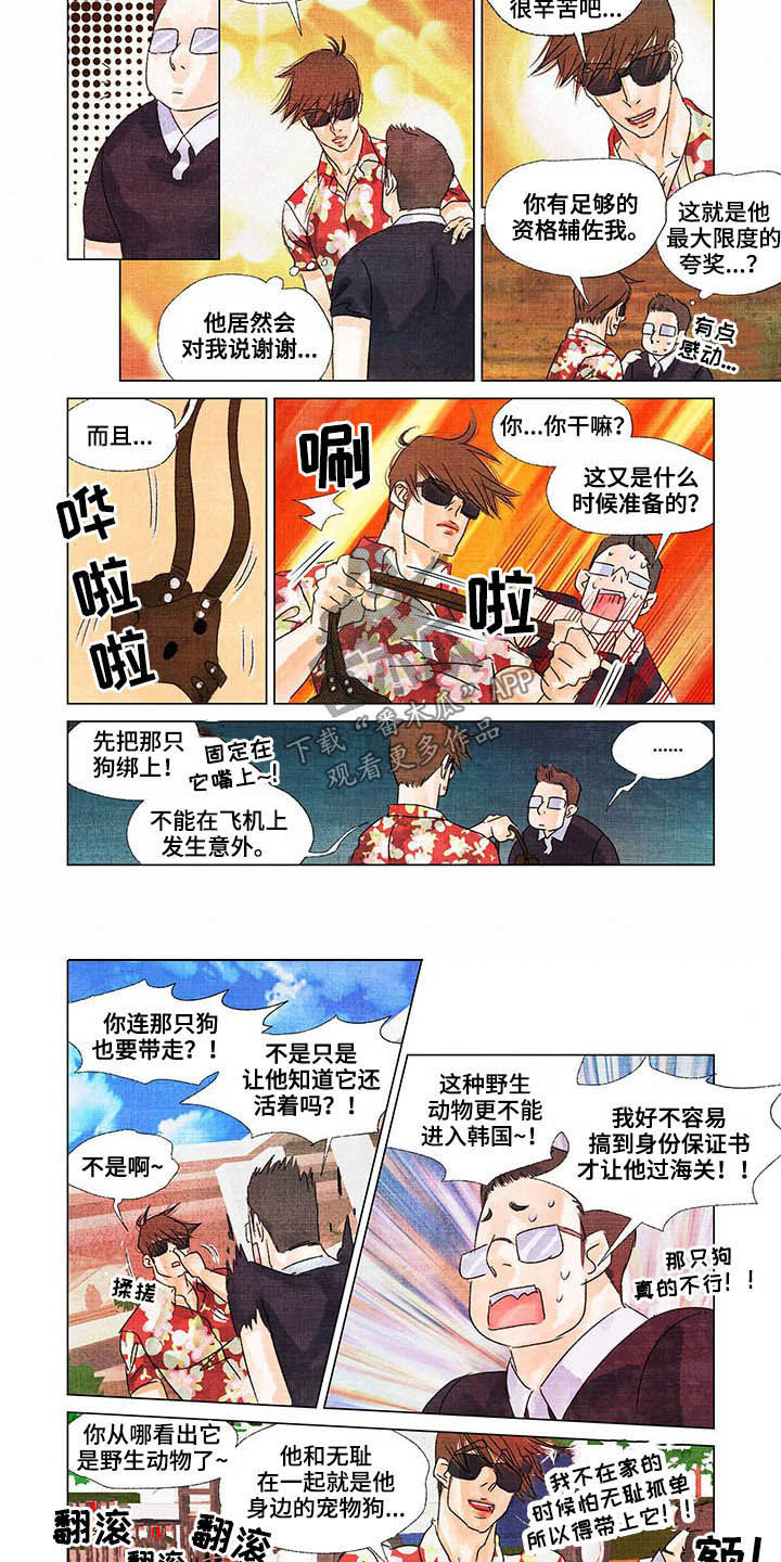 荒岛漂流者漫画,第23章：回首尔4图