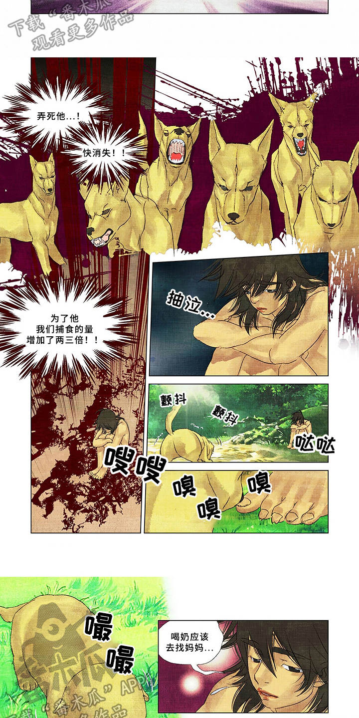 荒岛漂流者漫画,第17章：家人1图