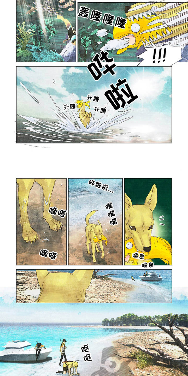 荒岛漂流者漫画,第9章：越想越气5图