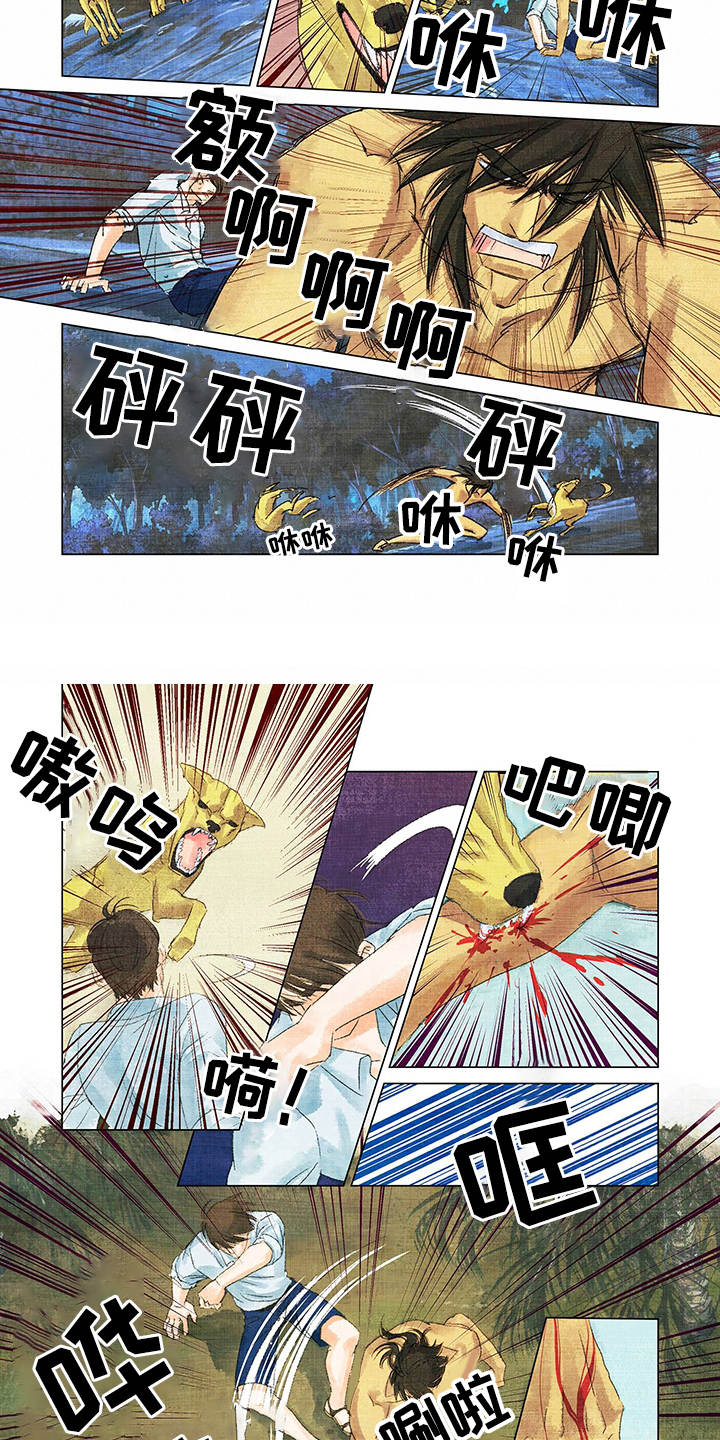 荒岛漂流者漫画,第2章：野狗2图