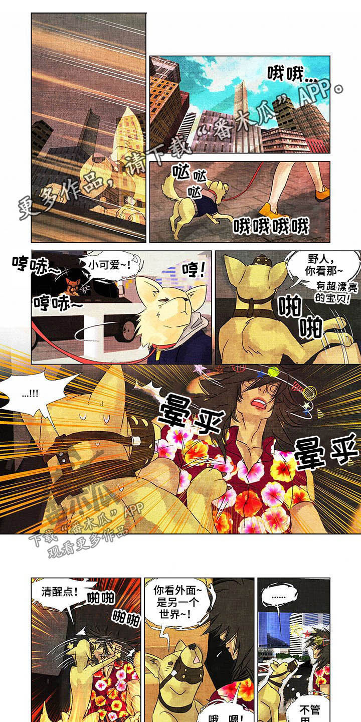 荒岛漂流者漫画,第24章：教导1图