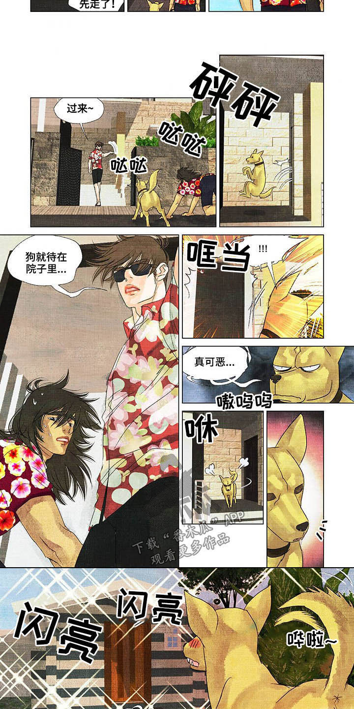 荒岛漂流者漫画,第24章：教导1图