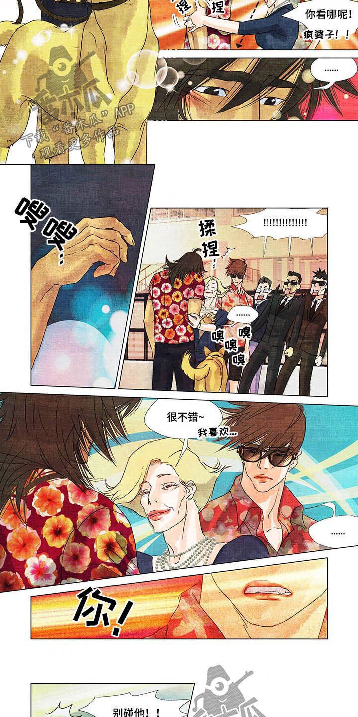 荒岛漂流者漫画,第23章：回首尔3图