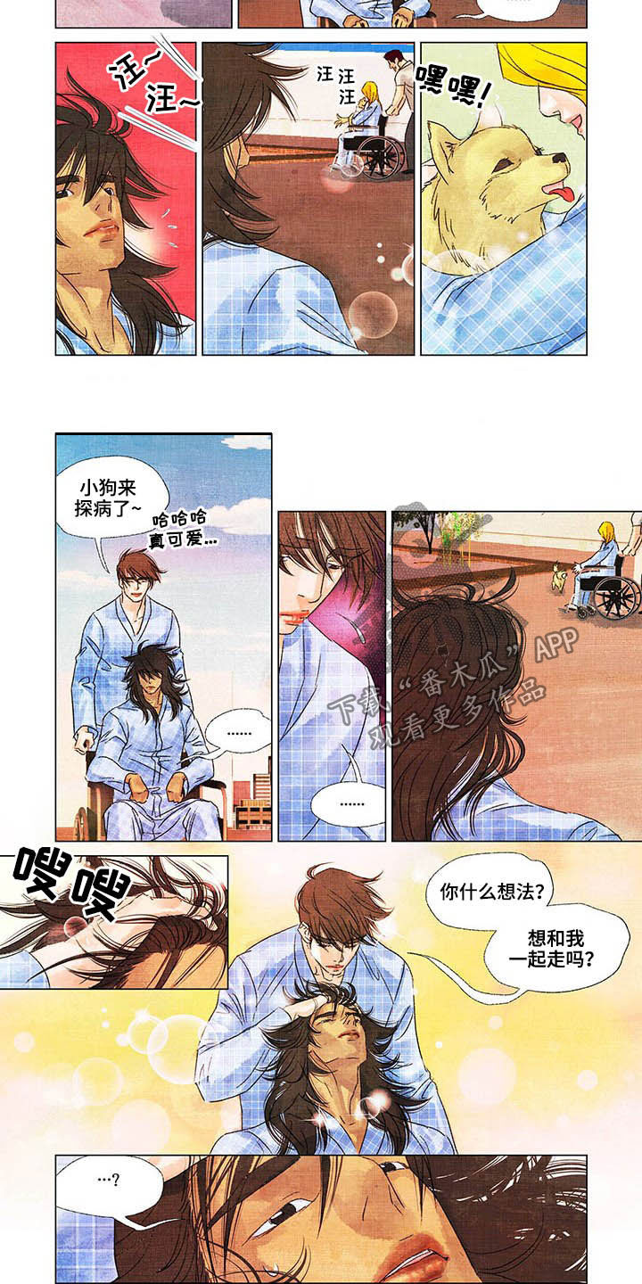 荒岛漂流者漫画,第22章：出院5图