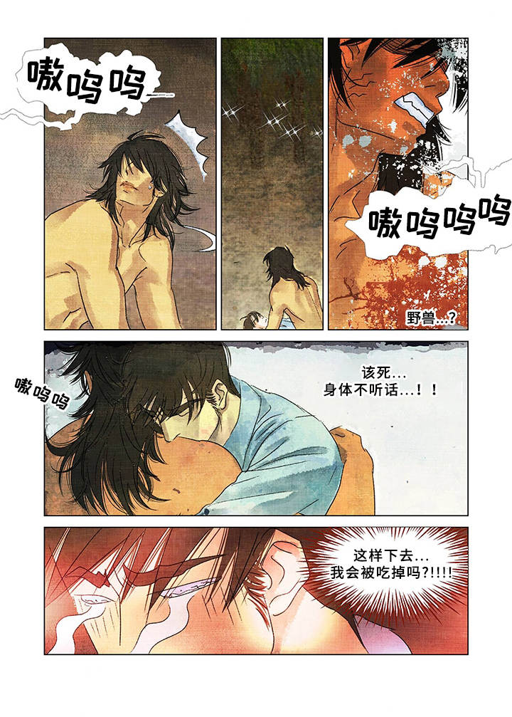 荒岛漂流者漫画,第1章：流落荒岛4图