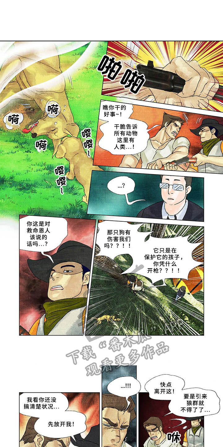 荒岛漂流者漫画,第17章：家人3图