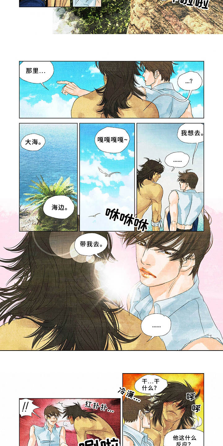 荒岛漂流者漫画,第7章：登高望远1图
