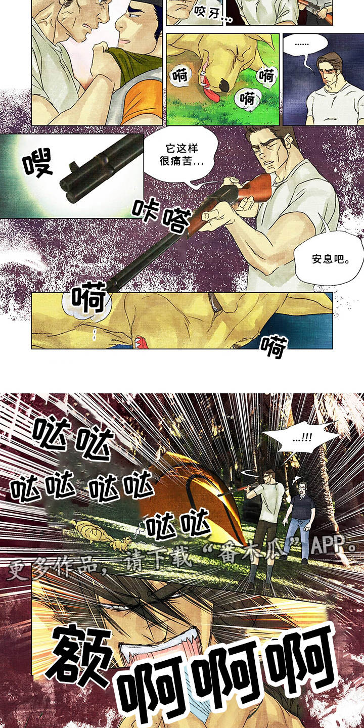 荒岛漂流者漫画,第17章：家人4图