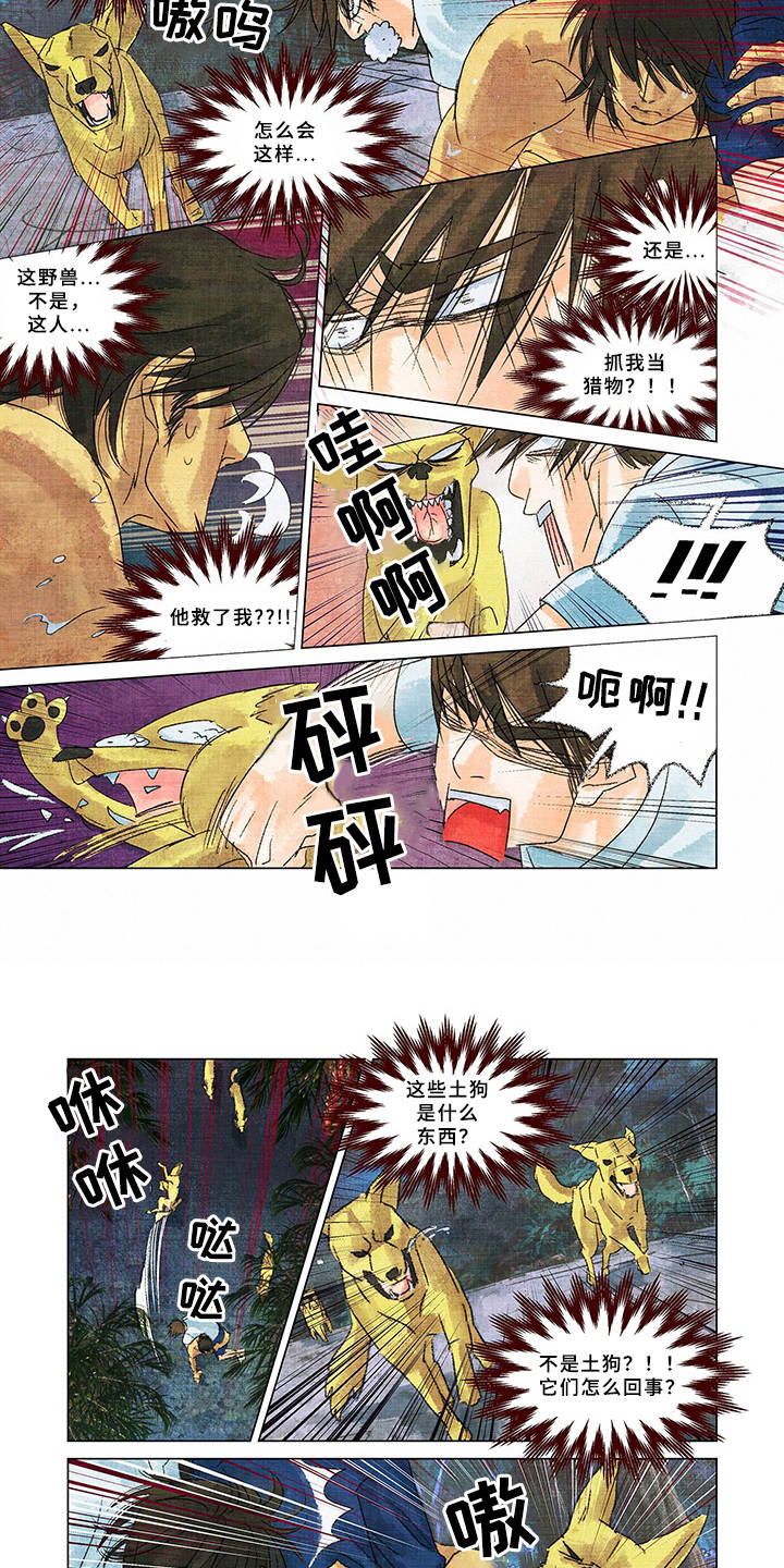 荒岛漂流者漫画,第2章：野狗4图