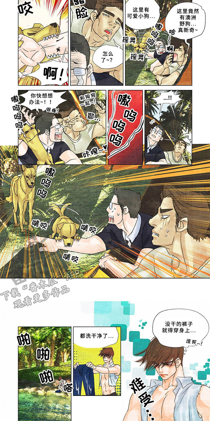 荒岛漂流者漫画,第16章：取名5图