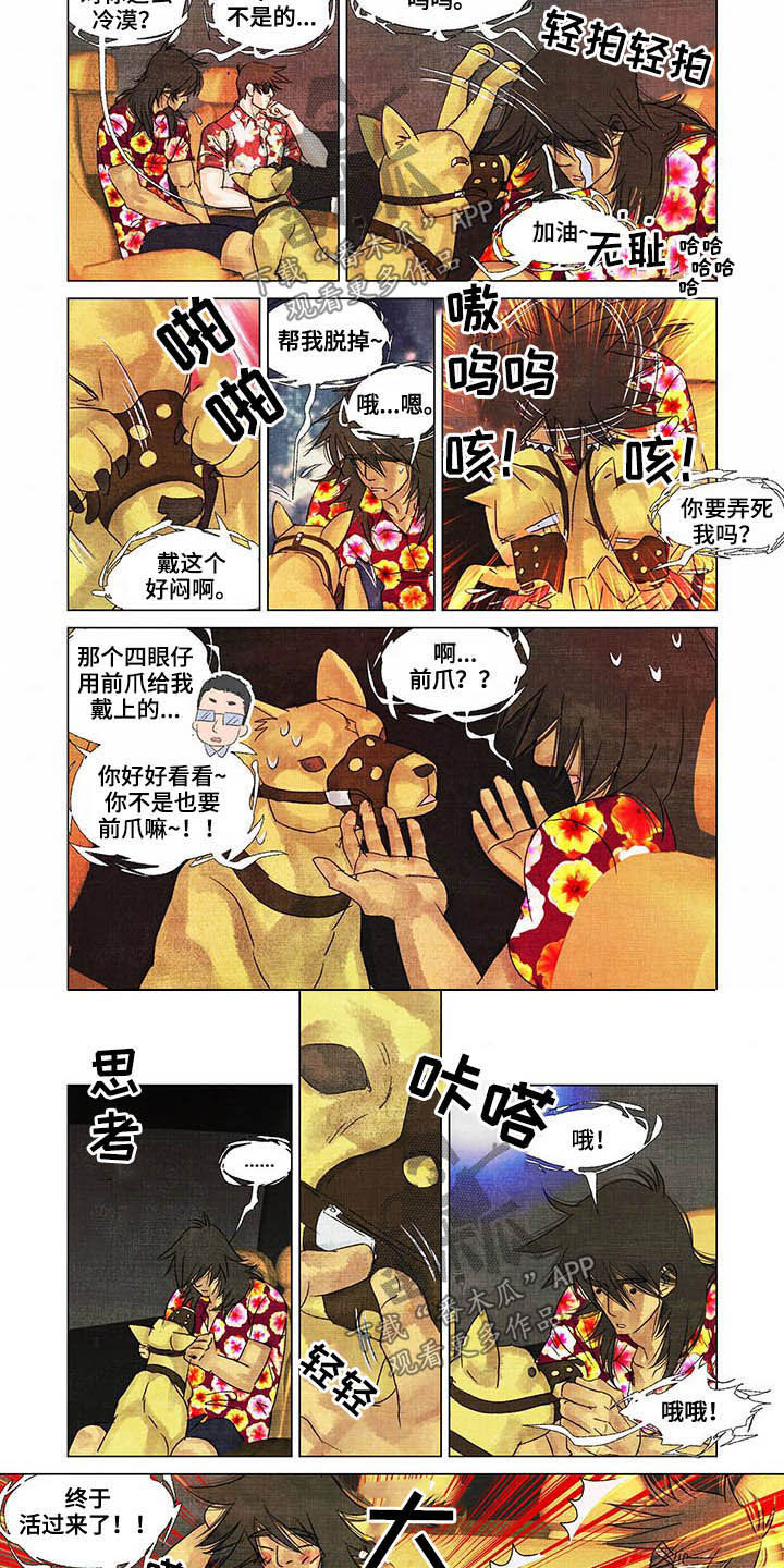 荒岛漂流者漫画,第24章：教导4图