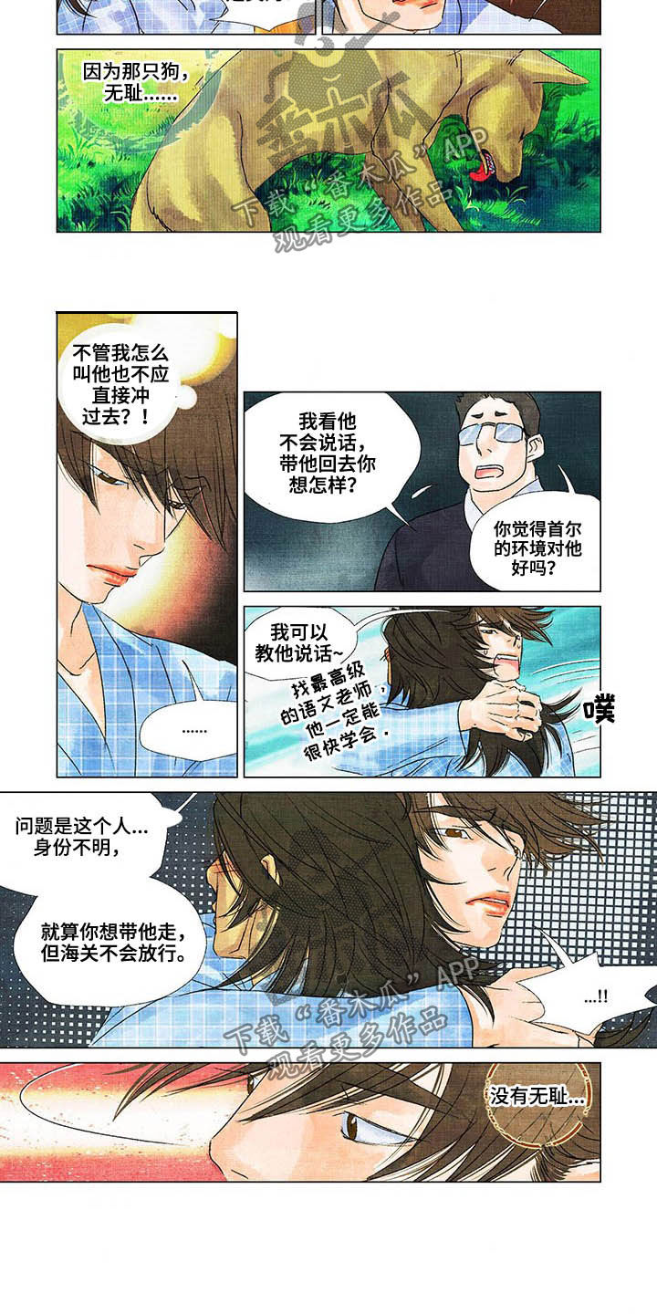 荒岛漂流者漫画,第21章：带他回去3图