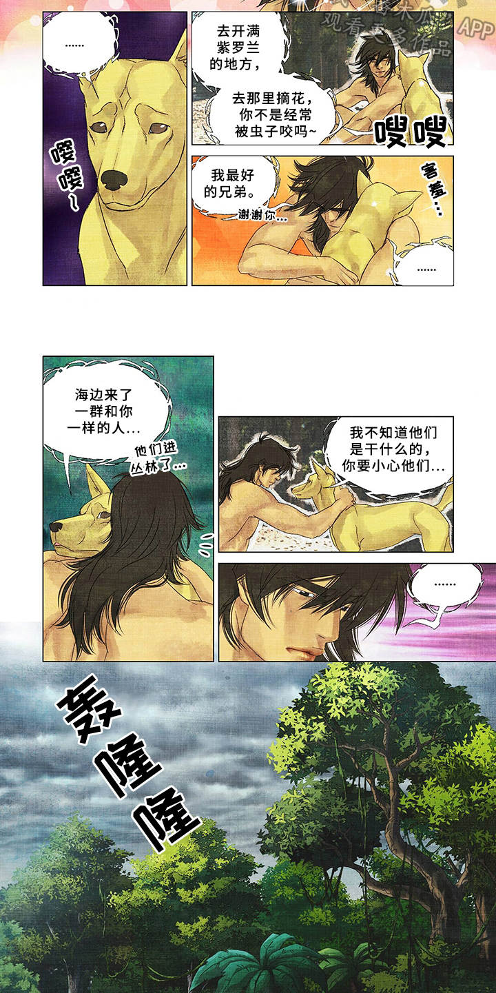 荒岛漂流者漫画,第11章：捕食5图