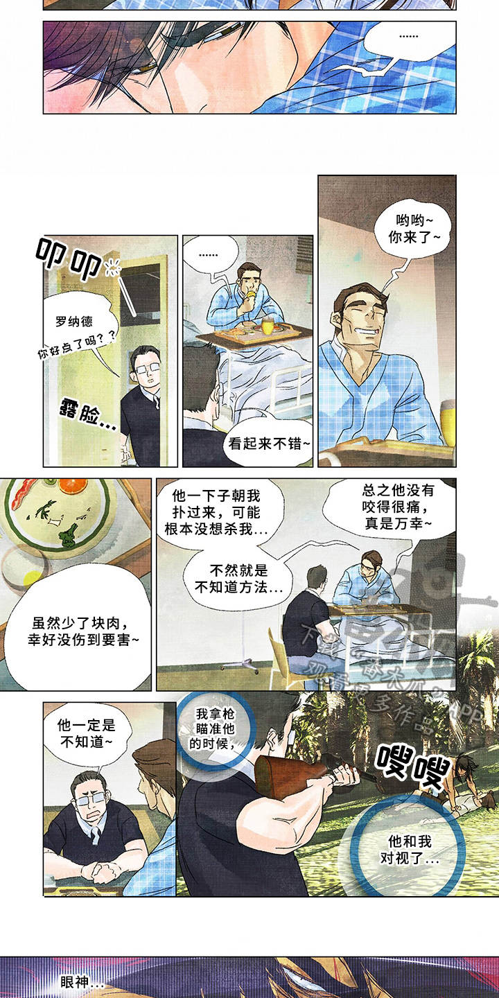 荒岛漂流者漫画,第20章：不一般3图