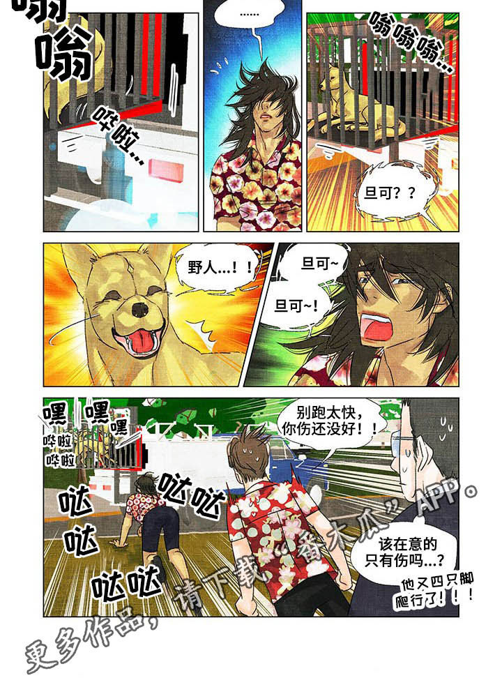 荒岛漂流者漫画,第22章：出院4图