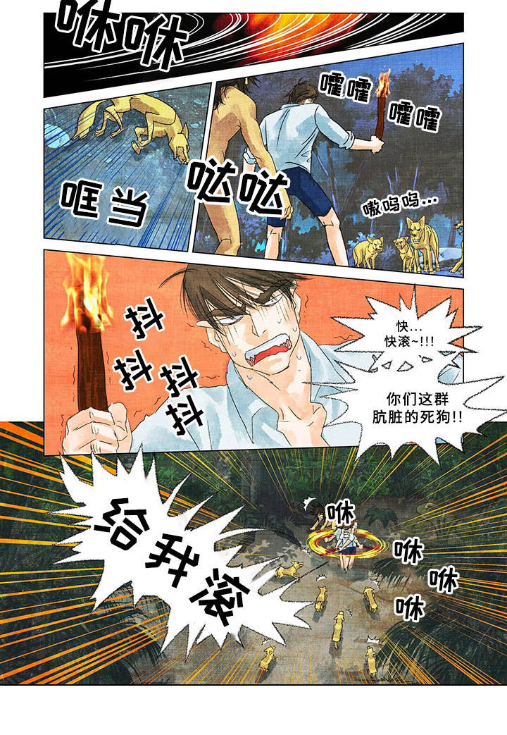 荒岛漂流者漫画,第2章：野狗4图