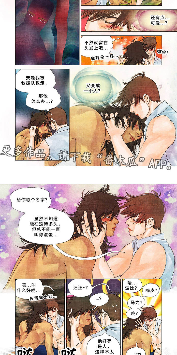 荒岛漂流者漫画,第16章：取名2图